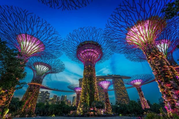 Các điểm du lịch Singapore - Garden By The Bay