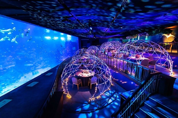Các điểm du lịch Singapore - S.E.A Aquarium.
