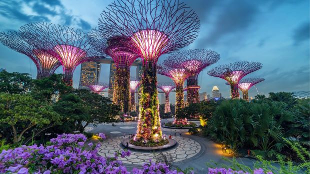 Chuẩn bị gì khi đi du lịch Singapore - Garden By The Bay