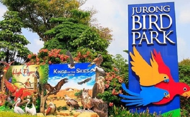 Giá tour du lịch Singapore - Jurong Bird Park