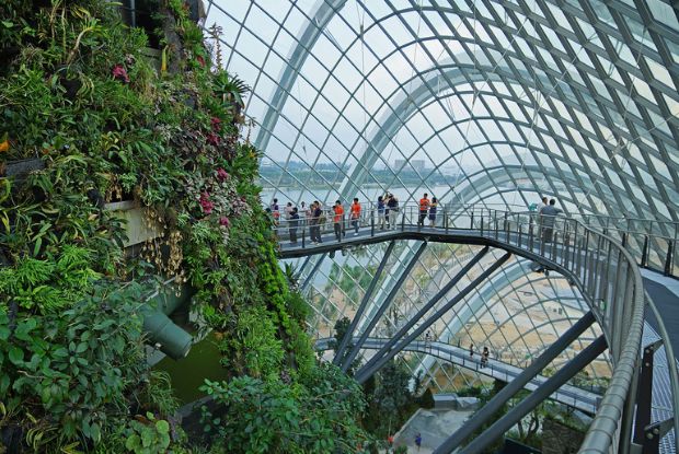 Du lịch Singapore nên đi đâu - Cloud Forest