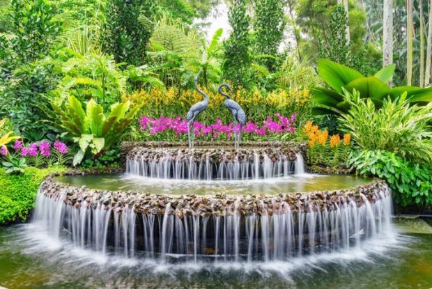 Du lịch Singapore 3 ngày - Vườn Botanic