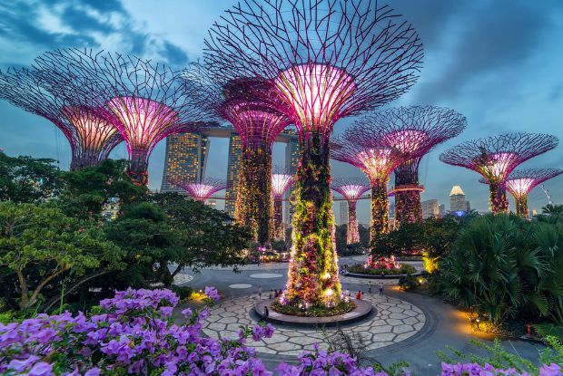 Du lịch Singapore 4 ngày 3 đêm - Gardens By The Bay