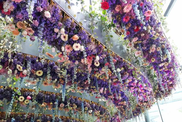 Du lịch Singapore và Malaysia cần chuẩn bị những gì - Floral Fantasy