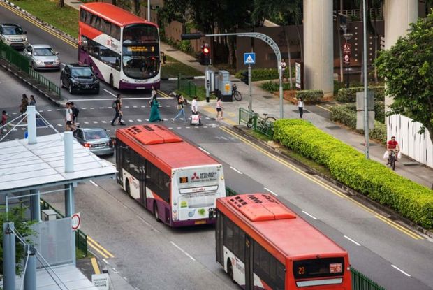 Du lịch Singapore từ a đến z - Xe buýt