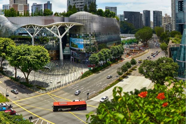 Hướng dẫn du lịch Singapore tự túc - Xe buýt