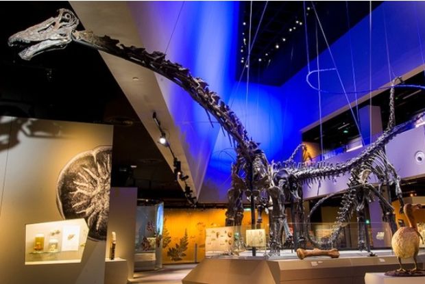 Du lịch Singapore ưu đãi gì - Hóa thạch khủng long